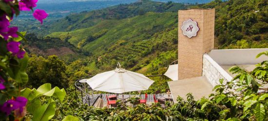CAFE_SAN_ALBERTO-EXPERIENCIA_TERRAZA_QUINDIO